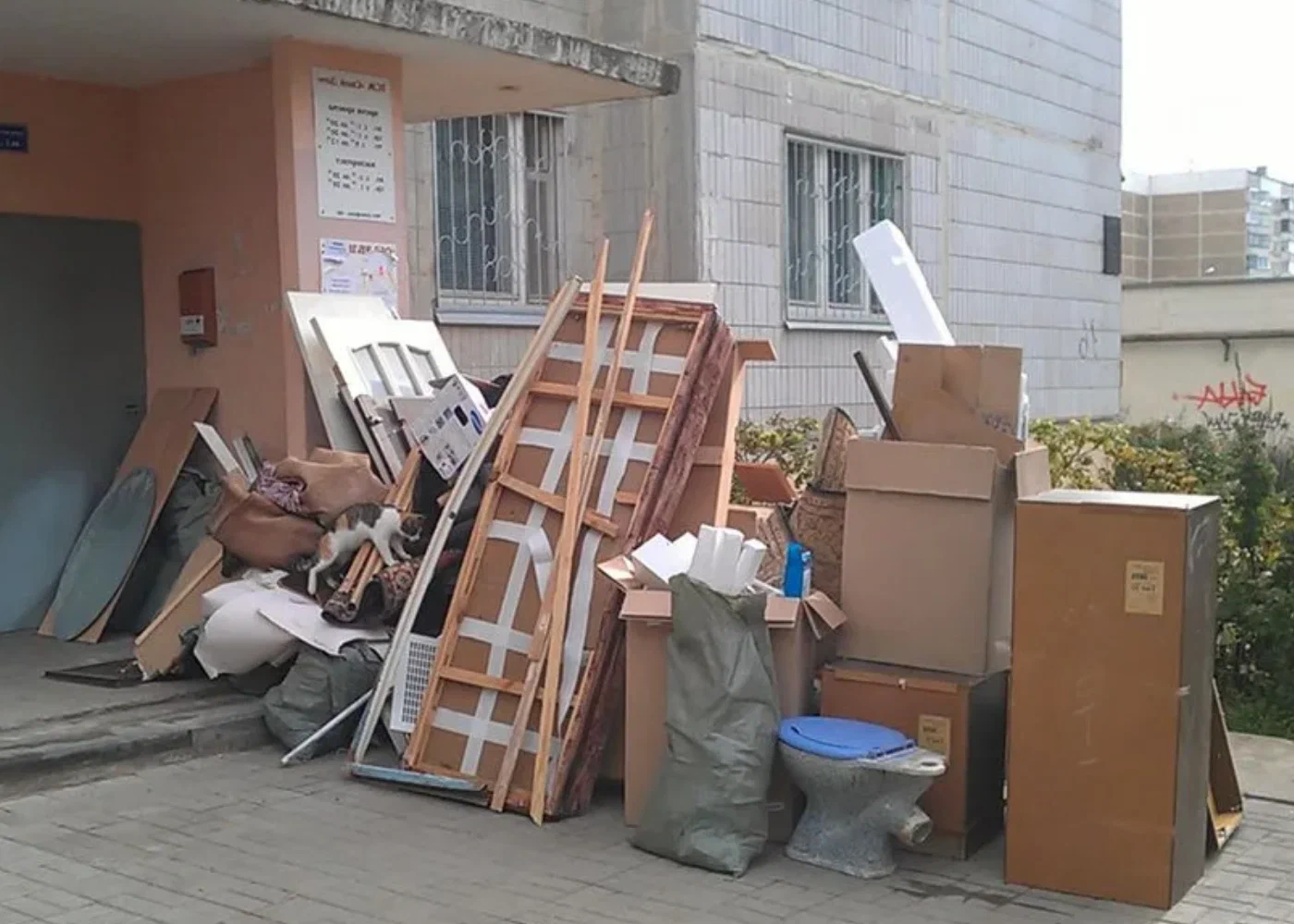 Профессиональный вывоз мусора из квартиры в Слободской в октябре