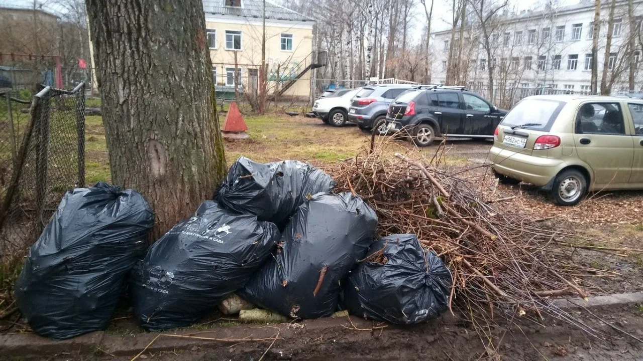 Вывоз мусора после субботника в Слободской от ПроМусор – уборка и утилизация отходов от 2422 руб