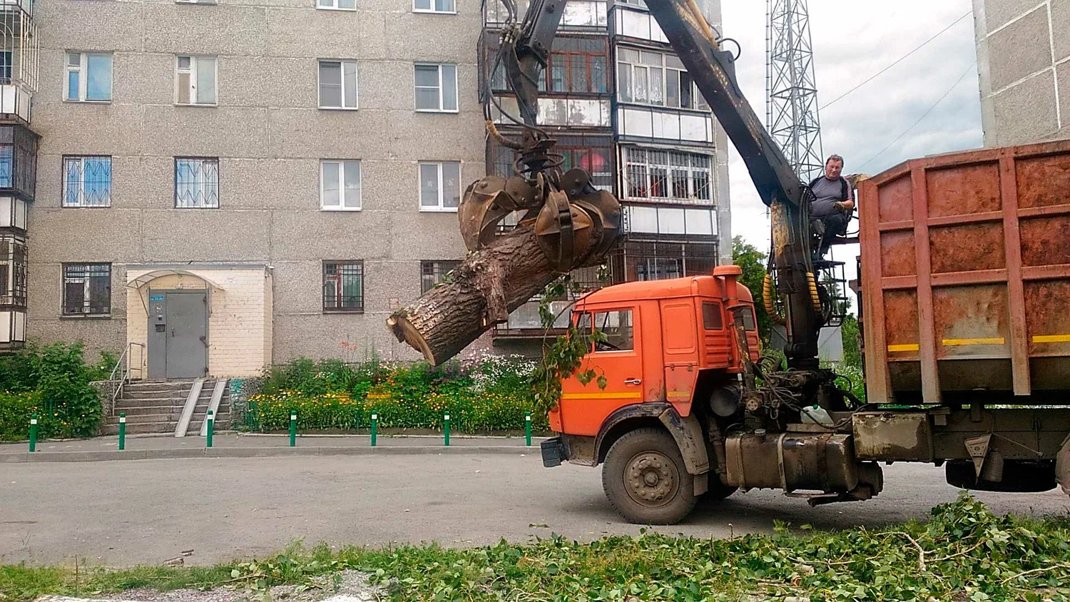 Вывоз спиленных веток и деревьев в Слободской от ПроМусор: порубочные остатки, утилизация, цена от 2988 руб