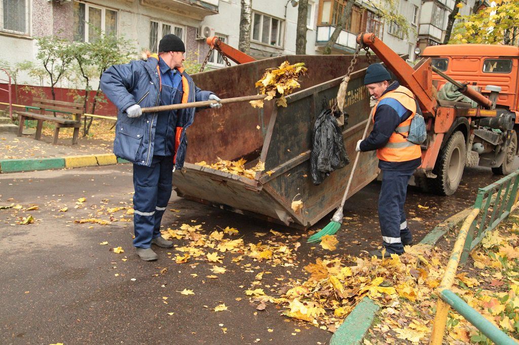 Вывоз опавшей листвы и растительного мусора в Слободской от ПроМусор – цена от 4637 руб., быстрая уборка и утилизация